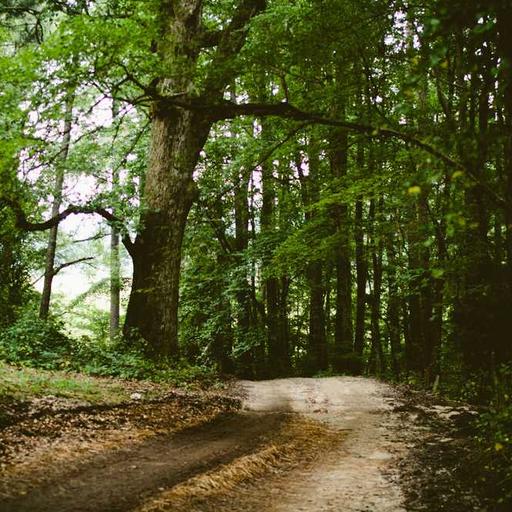 Pengaruh Dunia Virtual terhadap Pola Sosialisasi Manusia